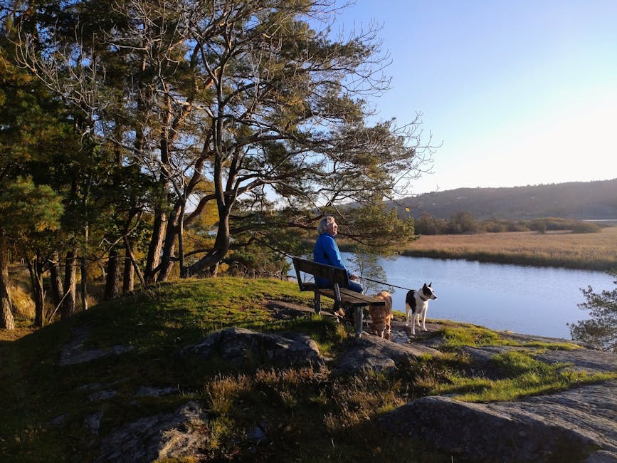 Natural training environment used by the club.